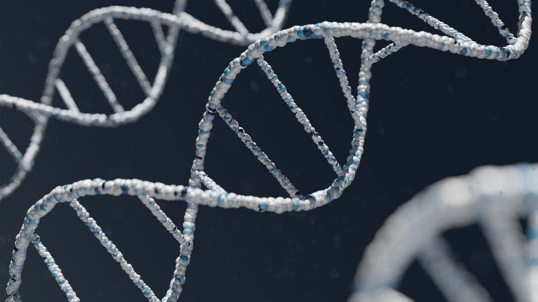 DNA strings with